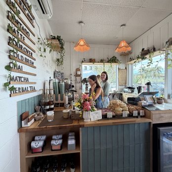 The Bird’s Nest Coffee - Coffee & Tea Near Me - Haleiwa, Hawaii The Bird’s Nest Coffee - Coffee & Tea Near Me - Haleiwa, Hawaii