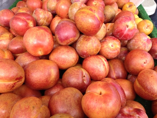 Downtown Oxnard Farmers Market by null