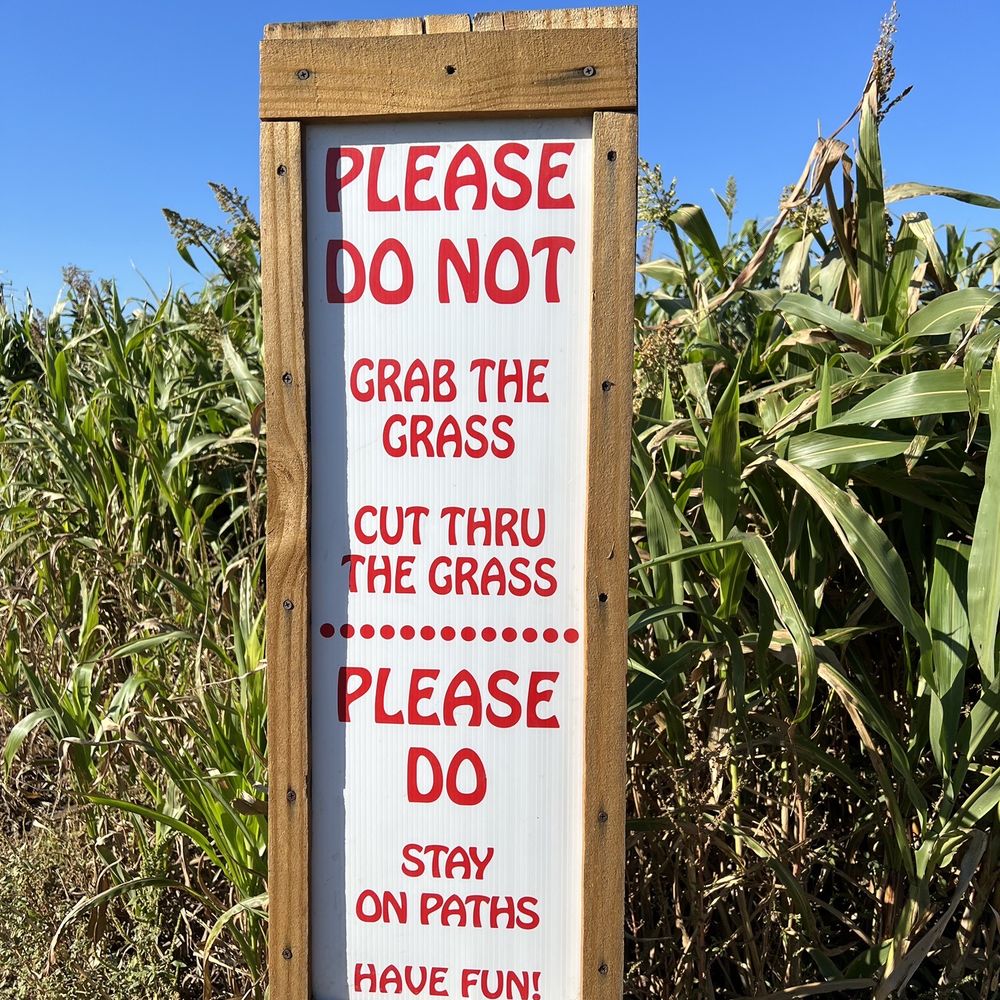 Sweet Berry Farm - For the Texas Maze - Attraction Farms Near Me - Marble Falls, Texas