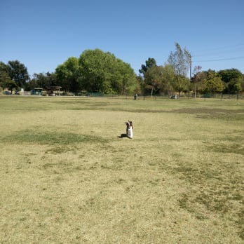 Toad Hollow Dog Park - Room to run. - Dog Parks Near Me - Davis, California