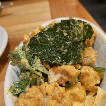 Cochon RESTAURANT - Fried gator - Cajun/Creole Near Me - New Orleans, Louisiana