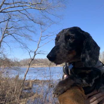 Rancocas State Park - dog-friendly !! - Parks Near Me - Mount Holly, New Jersey Rancocas State Park - dog-friendly !! - Parks Near Me - Mount Holly, New Jersey