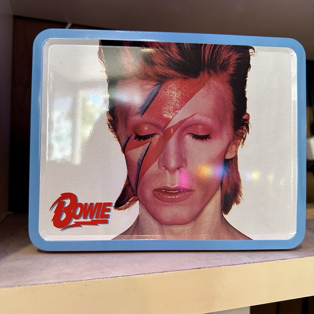 Funk Zone Vintage - David Bowie lunch box - Vinyl Records Near Me - Santa Barbara, California