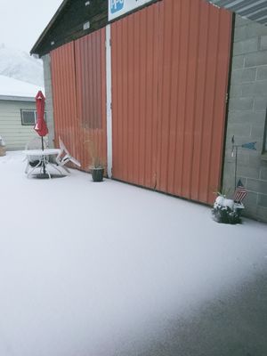 Annie's Lunch Box by null