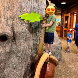 Rocky River Nature Center - Climbing tree