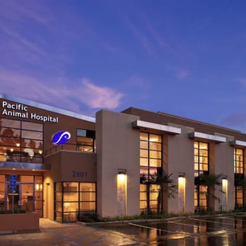 Pacific Animal Hospital - Veterinarians Near Me - Oceanside, California Pacific Animal Hospital - Veterinarians Near Me - Oceanside, California