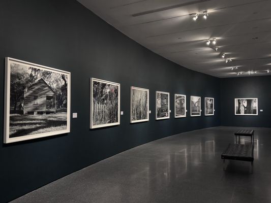 New Orleans Museum of Art by null New Orleans Museum of Art by null