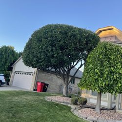 Arbor-Tech Tree Care