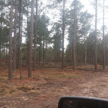 LumberJack Tree & Crane Experts - Tree Services Near Me LumberJack Tree & Crane Experts - Tree Services Near Me