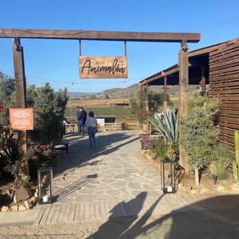Animalón - Outside - Signature Cuisine Near Me - Ensenada, BCN