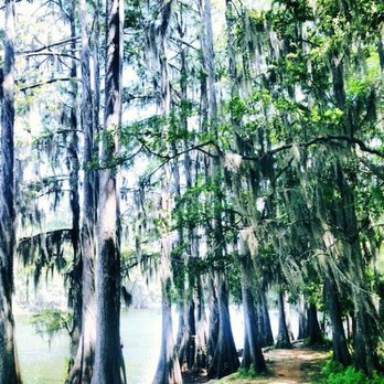 Caddo Lake Cabins - Vacation Rentals Near Me - Uncertain, Texas