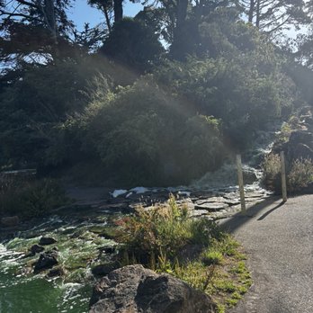 Lloyd Lake - Cutest waterfall - Lakes Near Me - San Francisco, California