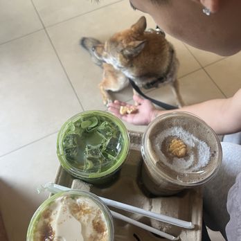 Coft - Matcha latte - Coffee & Tea Near Me - Chino, California Coft - Matcha latte - Coffee & Tea Near Me - Chino, California