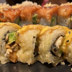 Saltwater - Jaguar roll