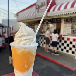 Josie's Frozen Custard - Medium Mango and coconut gelati