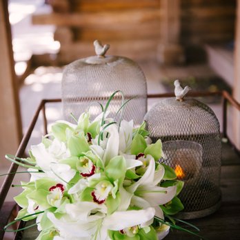 Finicky Flowers - Arent these gorgeous? Thanks Fifi for giving me exactly what i wanted! - Florists Near Me - Murrieta, California Finicky Flowers - Arent these gorgeous? Thanks Fifi for giving me exactly what i wanted! - Florists Near Me - Murrieta, California
