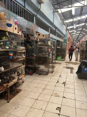 Mercado Lucas De Galvéz by null