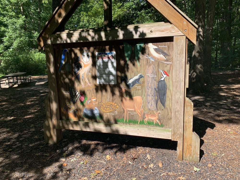 PATAPSCO STATE TIRE PARK - Updated August 2024 - 18 Photos & 14 Reviews