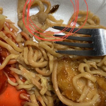 Golden Bowl - bug in food - Chinese Near Me - Waterford, California