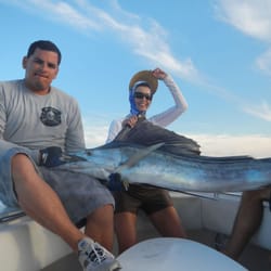 Miami Fishing Charters - Atlantic sailfish