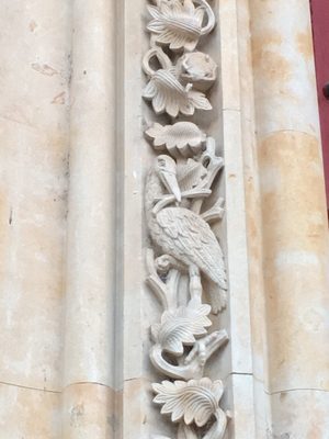 Catedral Vieja de Santa María de la Sede de Salamanca by null