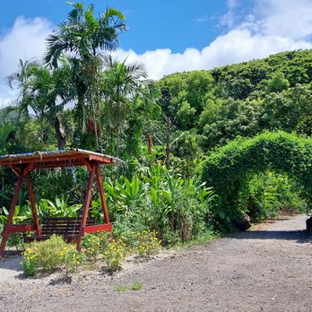 Waiahole Farm - Fruits & Veggies Near Me - Kaneohe, Hawaii Waiahole Farm - Fruits & Veggies Near Me - Kaneohe, Hawaii