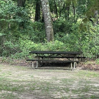 S B Williams Campground - Campgrounds Near Me - Daphne, Alabama S B Williams Campground - Campgrounds Near Me - Daphne, Alabama
