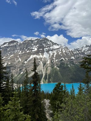 Peyto Lake by null