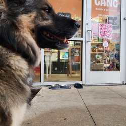 Woof Gang Bakery - Another successful groom with our friends at woofgang!