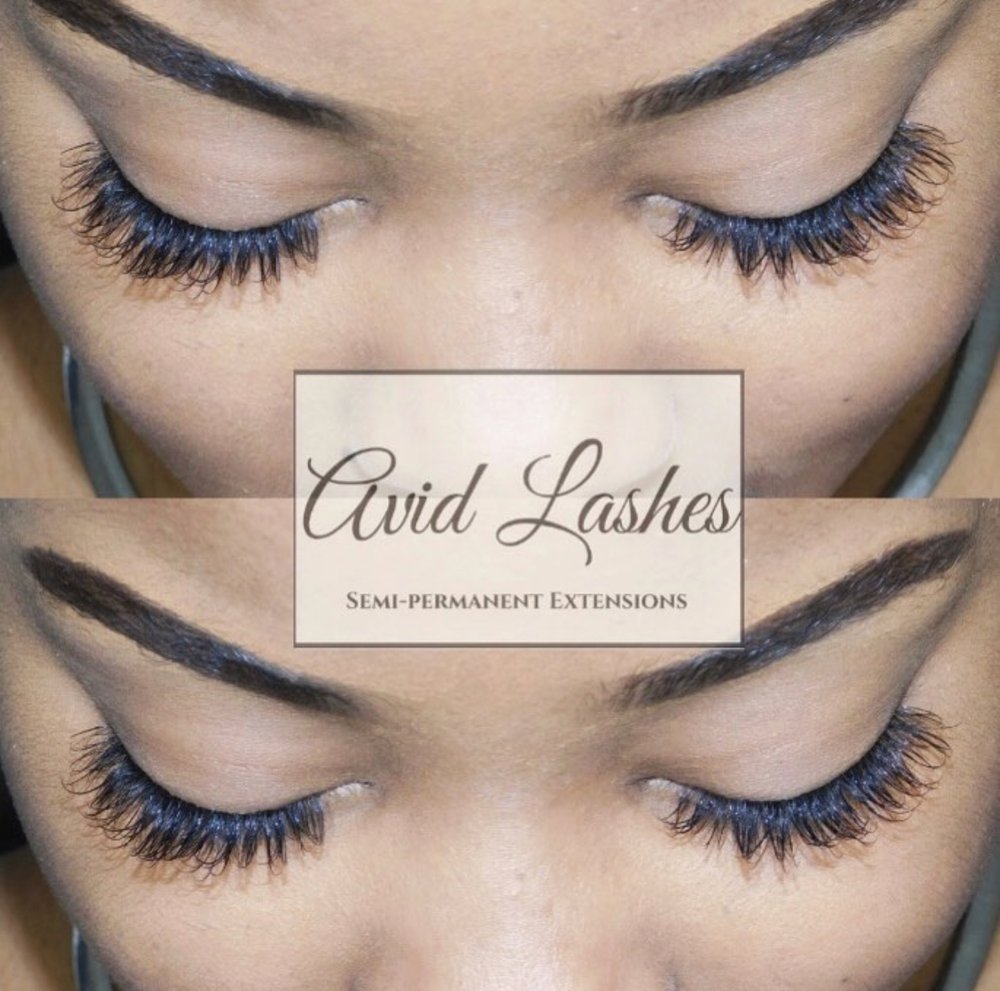 Avid Lashes Logo