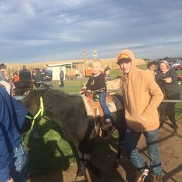 Pony rides (thk $3) Pony rides (thk $3)