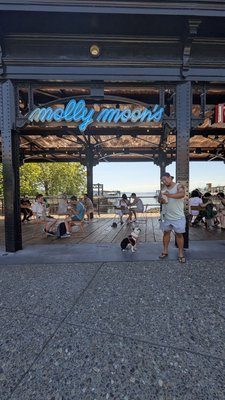 Molly Moon's Homemade Ice Cream Waterfront by null