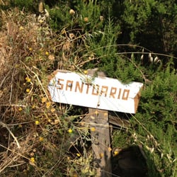 Santuario di Montenero - follow the signs to the top