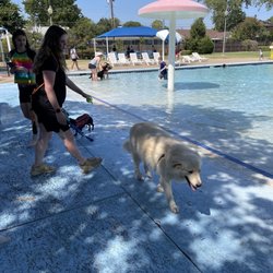 Terrace Park - Splash Day