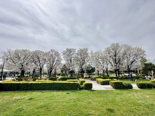 Gardens Park by null