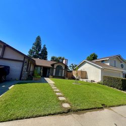 Bella Rose Landscaping