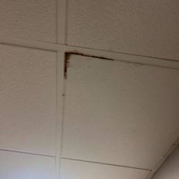 Mold Mold
