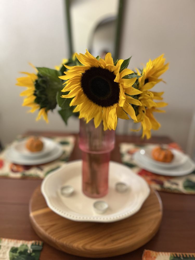 Arnosky Family Farm Market - beekeeping in Blanco, TX