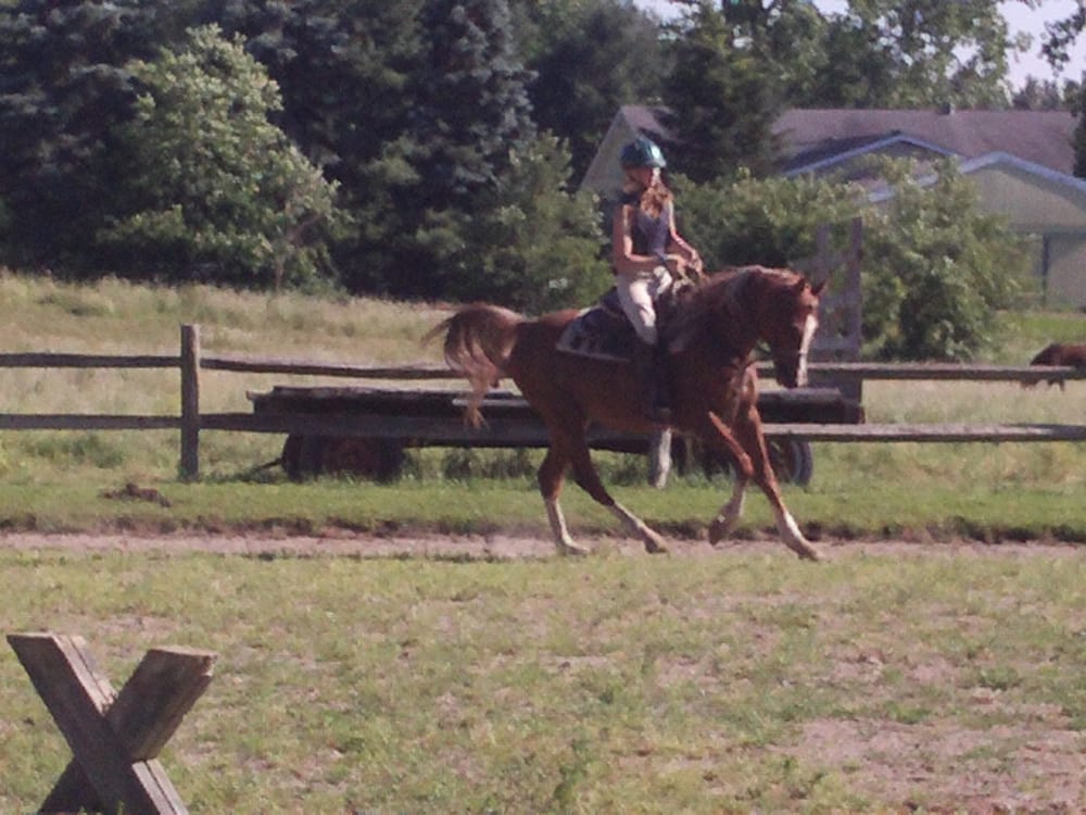 Ashley Moores Stables - equestrian in Jefferson, OH
