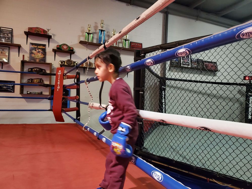 SWIFTKICK MMA AND BOXING 12 Photos 403 Harding Industrial Dr