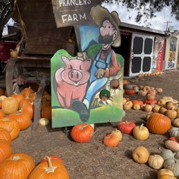 Prancer's Farm Prancer's Farm
