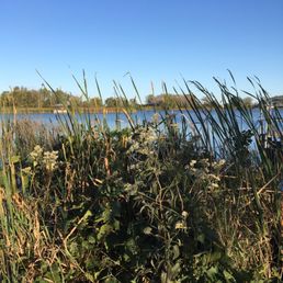 Nature Nature