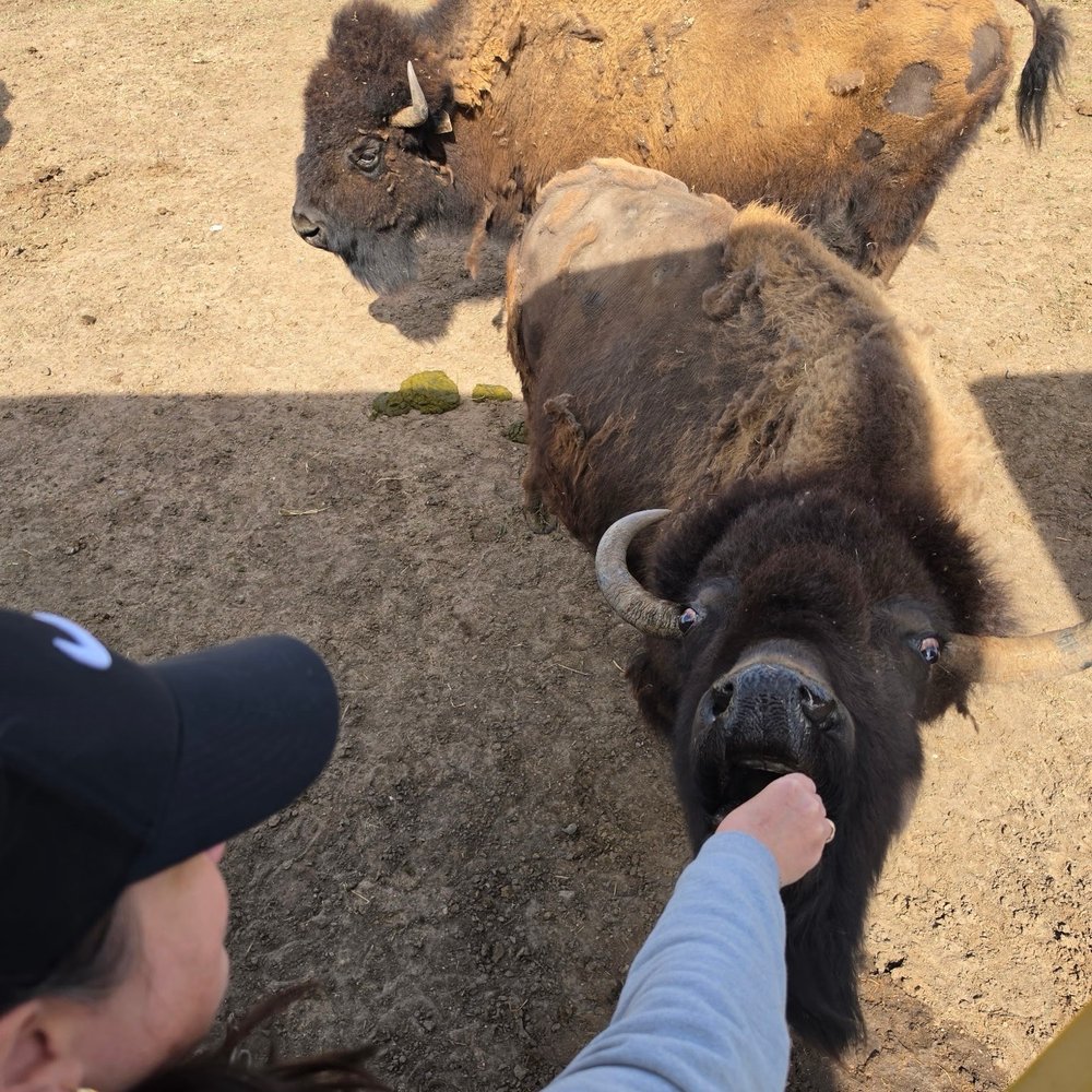Terry Bison Ranch Resort - Venues & Event Spaces Near Me - Cheyenne, Wyoming