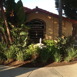 Estrella Veterinary Hospital, A Thrive Pet Healthcare Partner