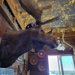 Ranch Hand Bar and Grill - American moose