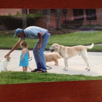 Boston John Exterminator - My favorite photo with Bama my yellow lab, Oz cairn terrier, and Chandler Kitty cat. Me and Stella I - Pest Control Near Me Boston John Exterminator - My favorite photo with Bama my yellow lab, Oz cairn terrier, and Chandler Kitty cat. Me and Stella I - Pest Control Near Me