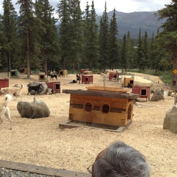 Husky Homestead Tours - Dog houses - Tours Near Me - Denali Park, Alaska Husky Homestead Tours - Dog houses - Tours Near Me - Denali Park, Alaska