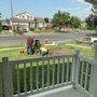 Andy's Stump And Tree Service