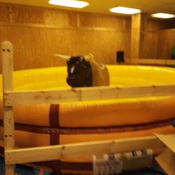WipeOut Zone - Our Mechanical Bull