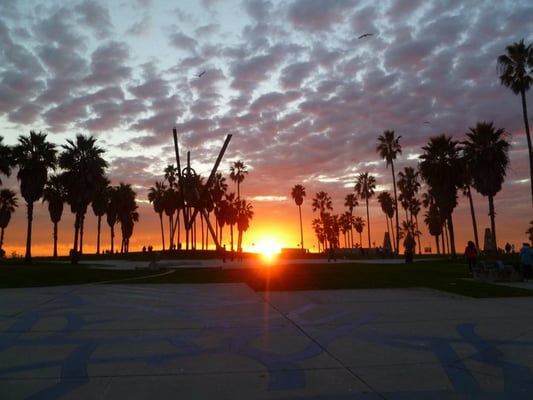 Samesun Venice Beach by null